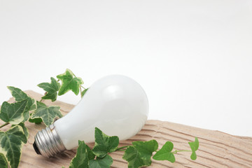 白熱電球とツタの葉