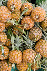 fresh pineapples for sale