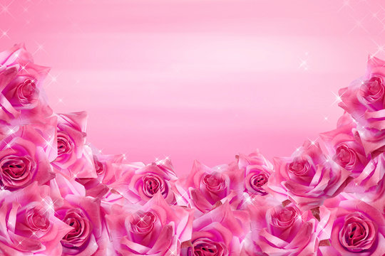 Pink roses background © bluebat