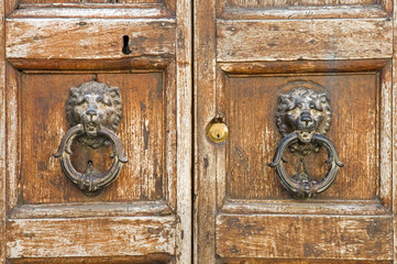 Vecchio portone con batacchi leonini