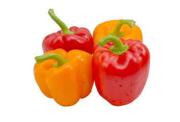 bell pepper