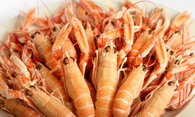 Langoustines cuites