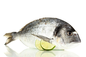 Dorado fish with lemon isolated on white