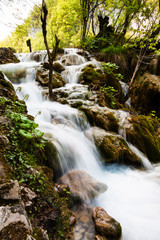 Whitewater running in the forest. Plitvice Lakes National Park,