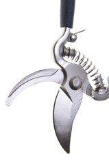 Garden shears to work in the garden