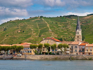 Vineyards in the Cote du Rhone France