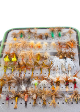 Fly Box Detail Dry Flies