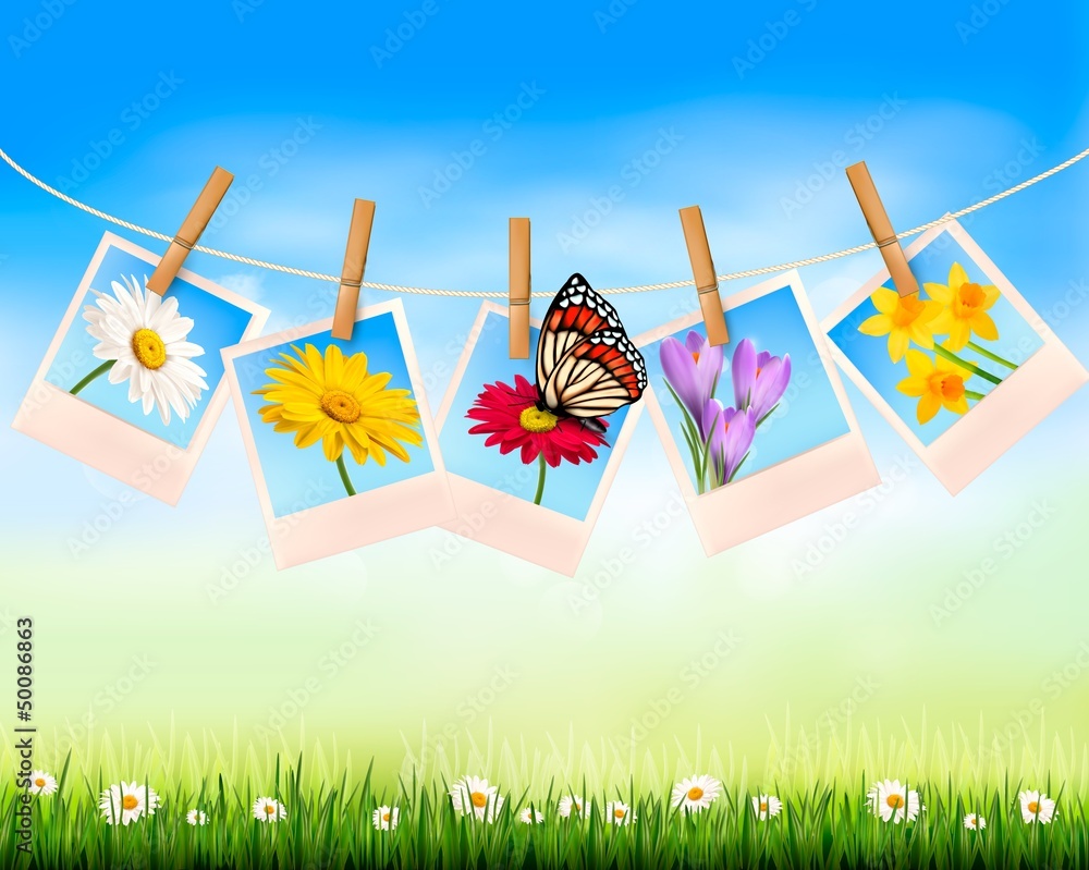 Poster nature background with photo with flowers and butterfly. vector