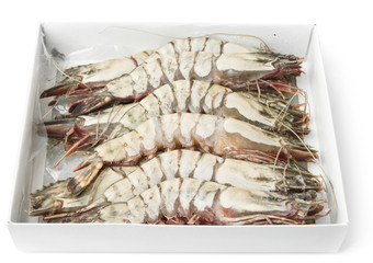 Giant prawns in retail pack, isolated on white