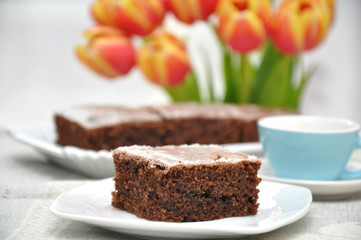 Schokoladen Schnitten