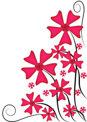 Pink flowers