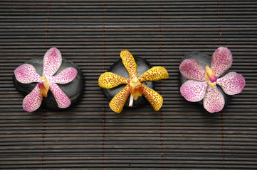 Row of orchid and zen Stones on bamboo stick straw mat