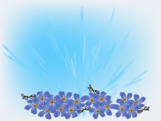 light blue illustration with forget-me-not flowers