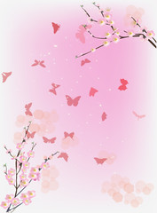 pink illustration with cherry flowers and butterflies