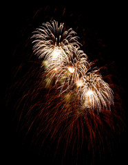 brightly colorful fireworks