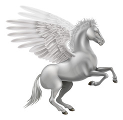 Naklejka na ściany i meble Pegasus koń