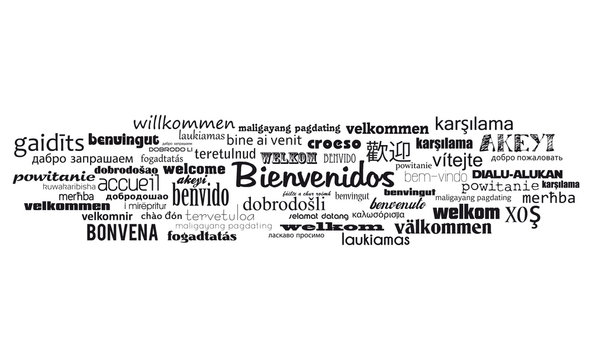 bienvenido visual data 6