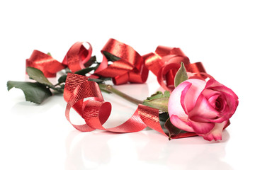 Red ribbon and roses