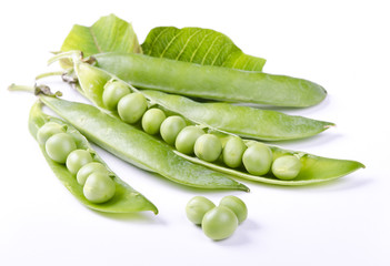 Green Pea over white