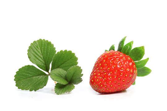 fraise