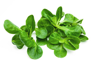 Feldsalat © rdnzl