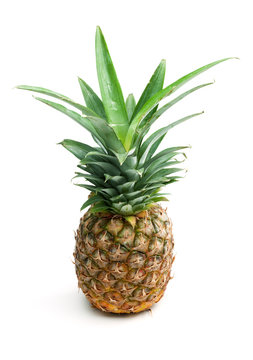 Single Pineapple on white