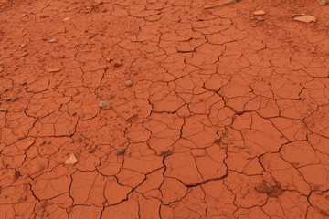 Dried out soil texture