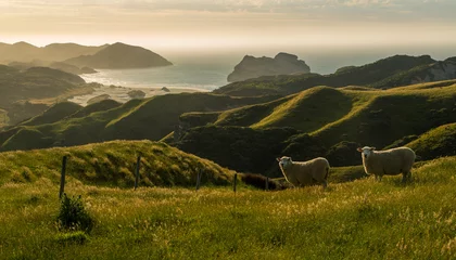 Fototapete Neuseeland Hügel an der Westküste