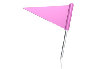 Pink triangle flag pin