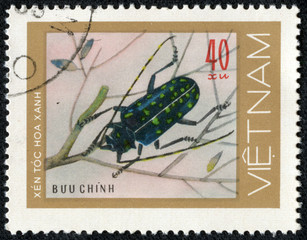 stamp shows mottled blue green beetles woodcutters