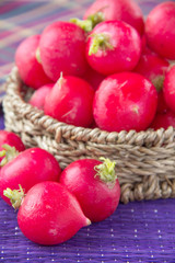 Radish in wicker basket