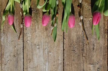 Tulpen auf Holzuntergrund