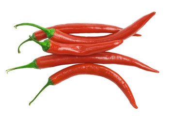 Hot red chili or chilli pepper isolated on white background
