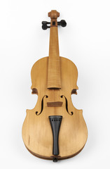 violino