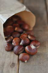 Fototapeta premium Chestnuts