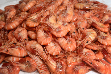 Shrimps