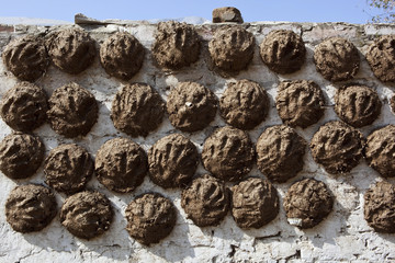 dung cakes with hand print