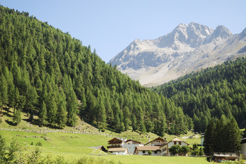 Obraz premium Alps in the Vinschgau