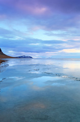 Fototapeta na wymiar Frozen coast in Iceland