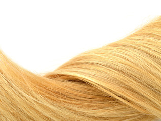 Blond hair isolated on white