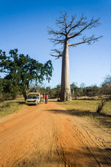 Bush taxi and baobab