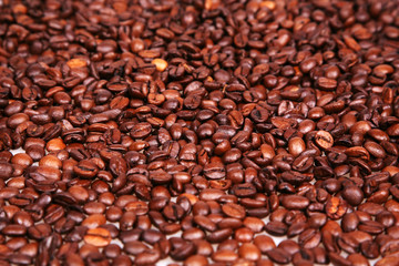 Kaffe Bonnen