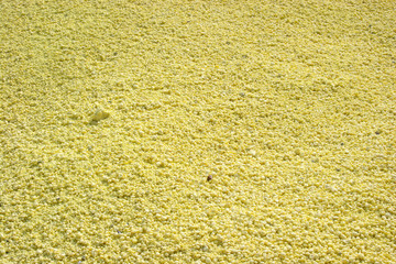 Background of Sulphur Texture