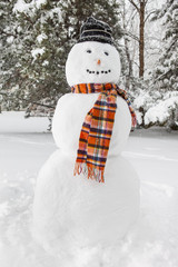 Merry White Snowman with a scarf and a hat