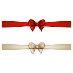 Isolated Elegant Bows 