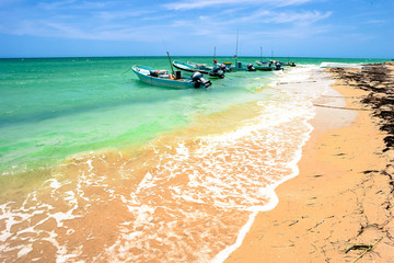 Fototapeta premium Yucatan Peninsula Beach