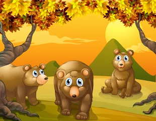 Gordijnen Drie bruine beren © GraphicsRF