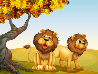 Een grote boom met twee leeuwen