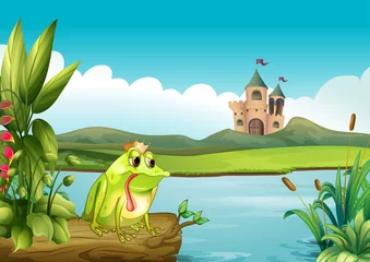 Abwaschbare Fototapete Schloss Ein Frosch über einem schwimmenden Baumstamm über der Burg