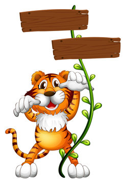 A tiger at the back of a two-plank empty board